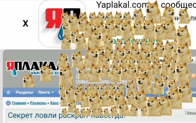 Секрет ловли раскрыт навсегда!