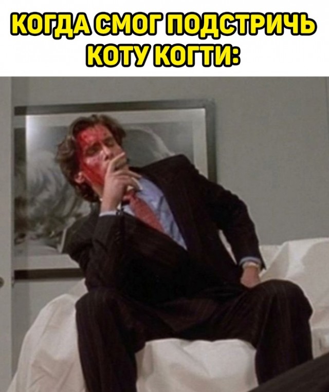 Картинки и мемы. Выходные близко, близко...