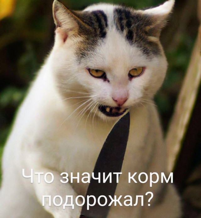 Немного картинок для настроения - 119