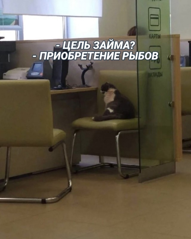 Калейдоскоп картинок