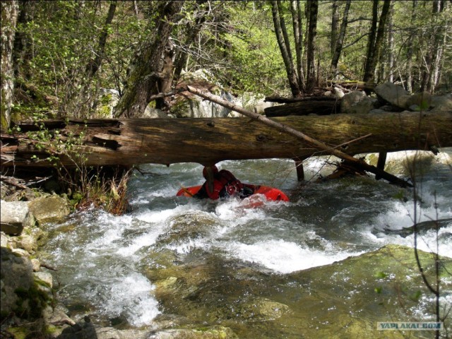 Франция. Корсика.