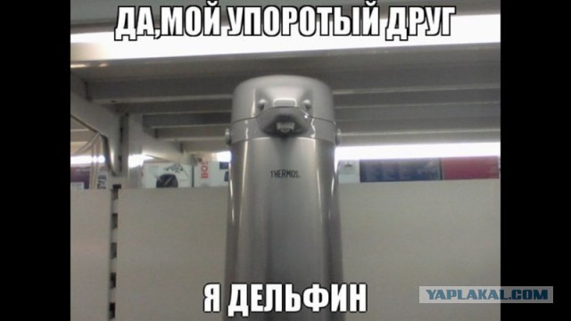 17 вещей, которые претворились другими предметами, заставив нас взглянуть на них дважды