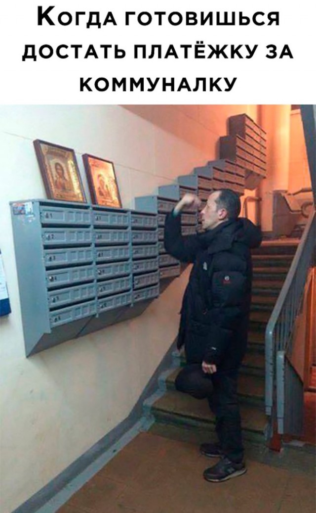 Так себе картинки 25.01.2023
