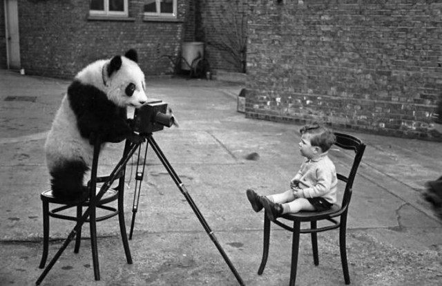 15 особо ярких моментов уличной фотографии, позволяющих взглянуть на окружение с другой стороны