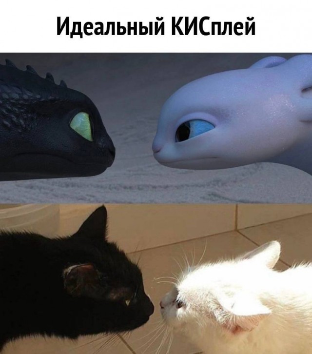 Картинки и мемы, всем хороших выходных
