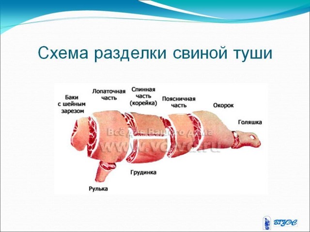 На Украине пропал дефицит нефтепродуктов