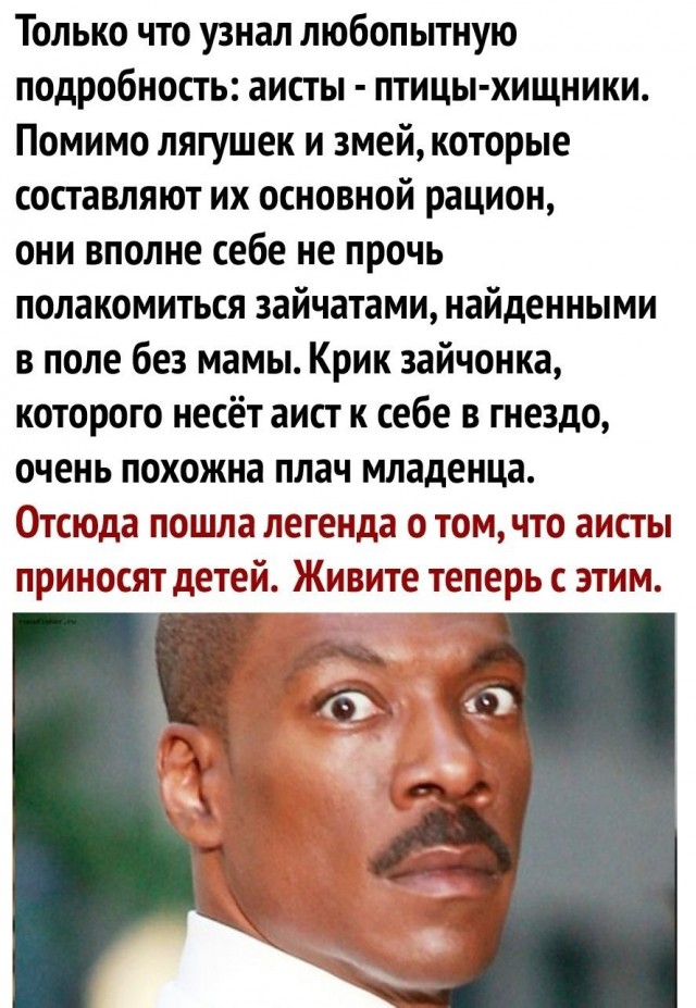 Нуштош 03.08.2023