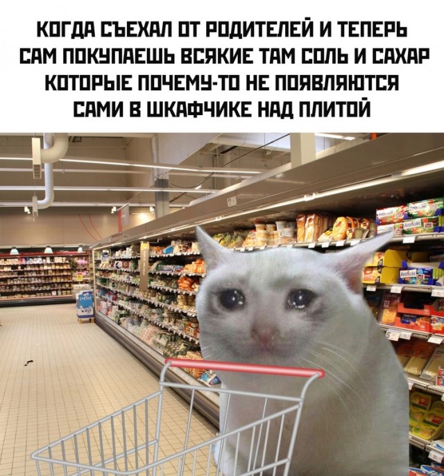 Неадекватность