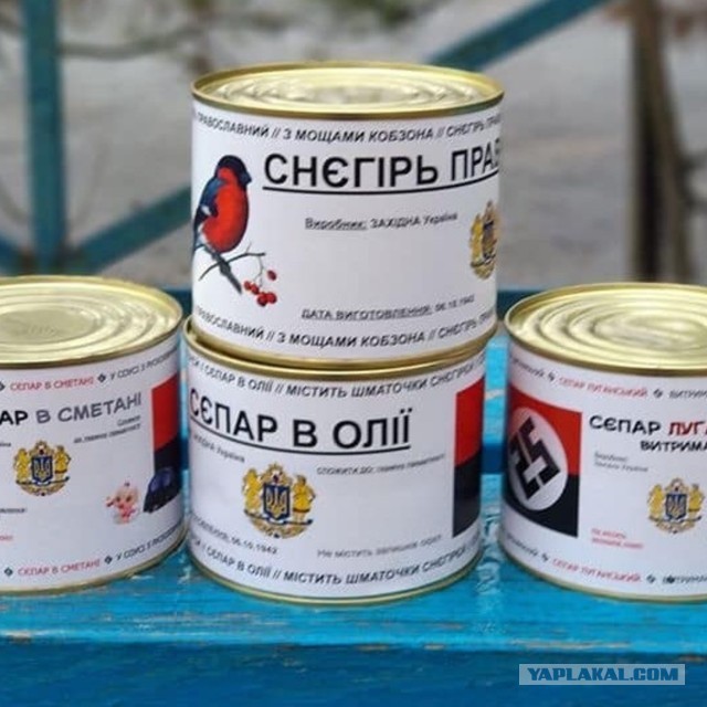 В Брянской области разгромили группу украинских диверсантов
