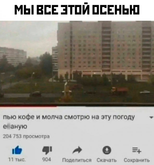 Весёлый полтишок 15.10.23