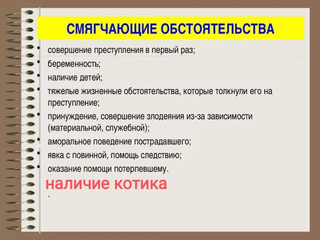 Впервые в истории России котик стал одним из смягчающих обстоятельств для уголовника в суде