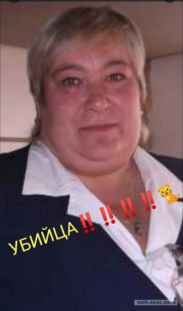 Петицию с требованием уволить проводницу РЖД, выбросившую кота Твикса в Кирове, подписали более 50 тысяч человек