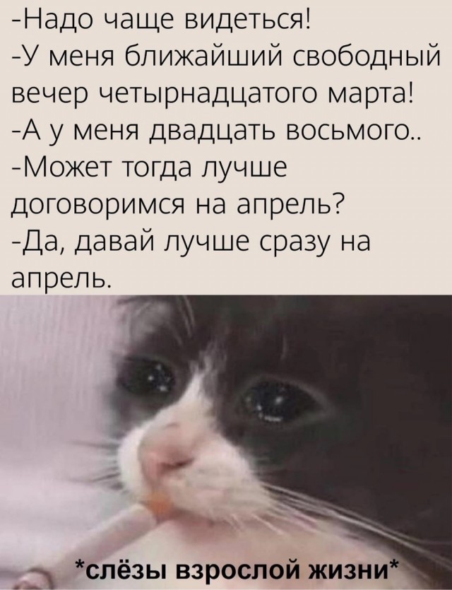 Весёлый полтишок 04.03.24