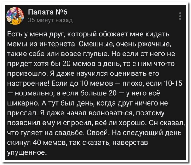 Забавные комментарии из социальных сетей (15.04.24)