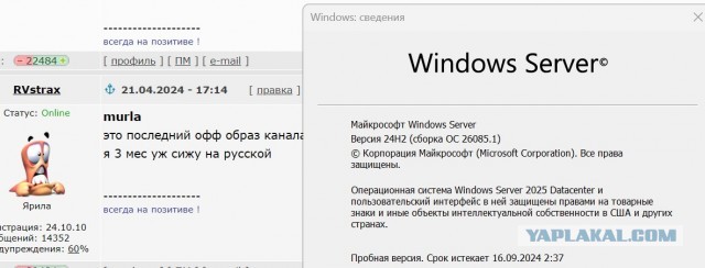 Как скачать Windows 11 без говна и встроенных приложений