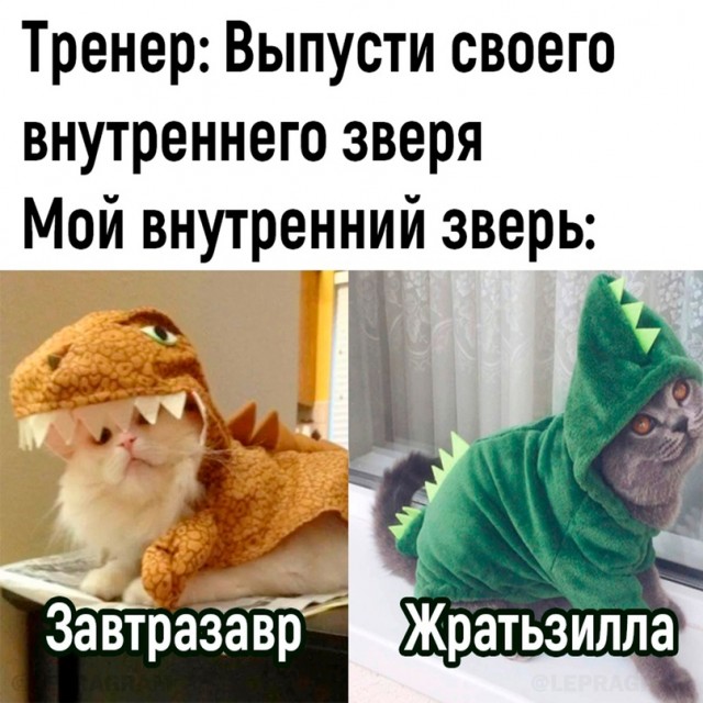 Весёлый полтишок 04.06.24
