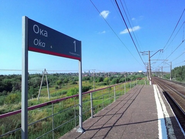 Пес несколько часов не отходит от погибшего хозяина на станции «Ока»