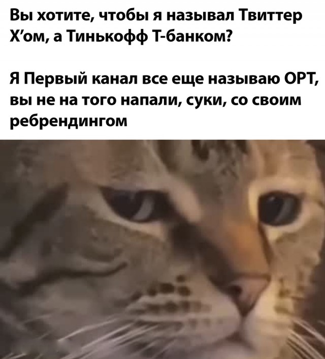 Весёлый полтишок 05.08.24
