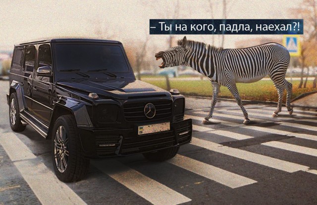 Картинки разные с надписями и без