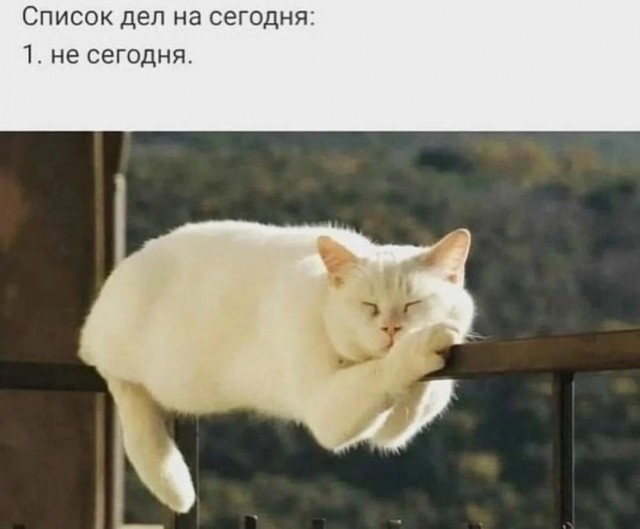 Веселые картинки к пятнице (20.09)