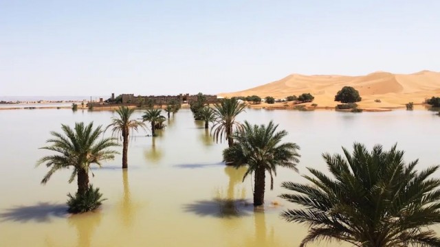 Некоторые части Сахары затопило водой