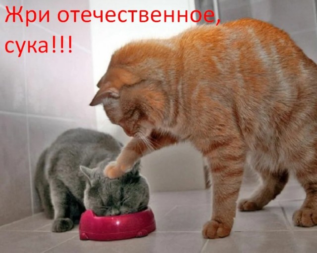 В Россию начали завозить индусов