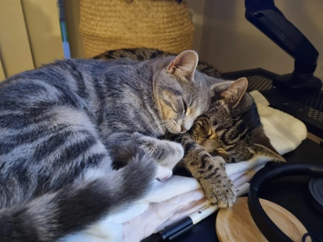 Лучшее решение