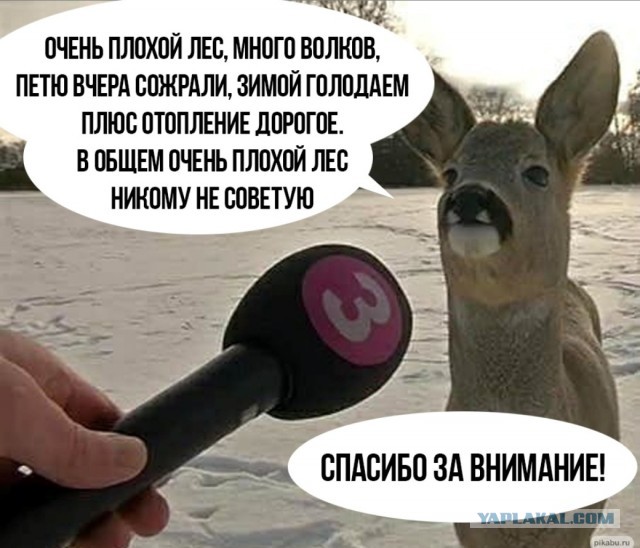 Ответка автору поста "А я иду, шагаю по Чите"