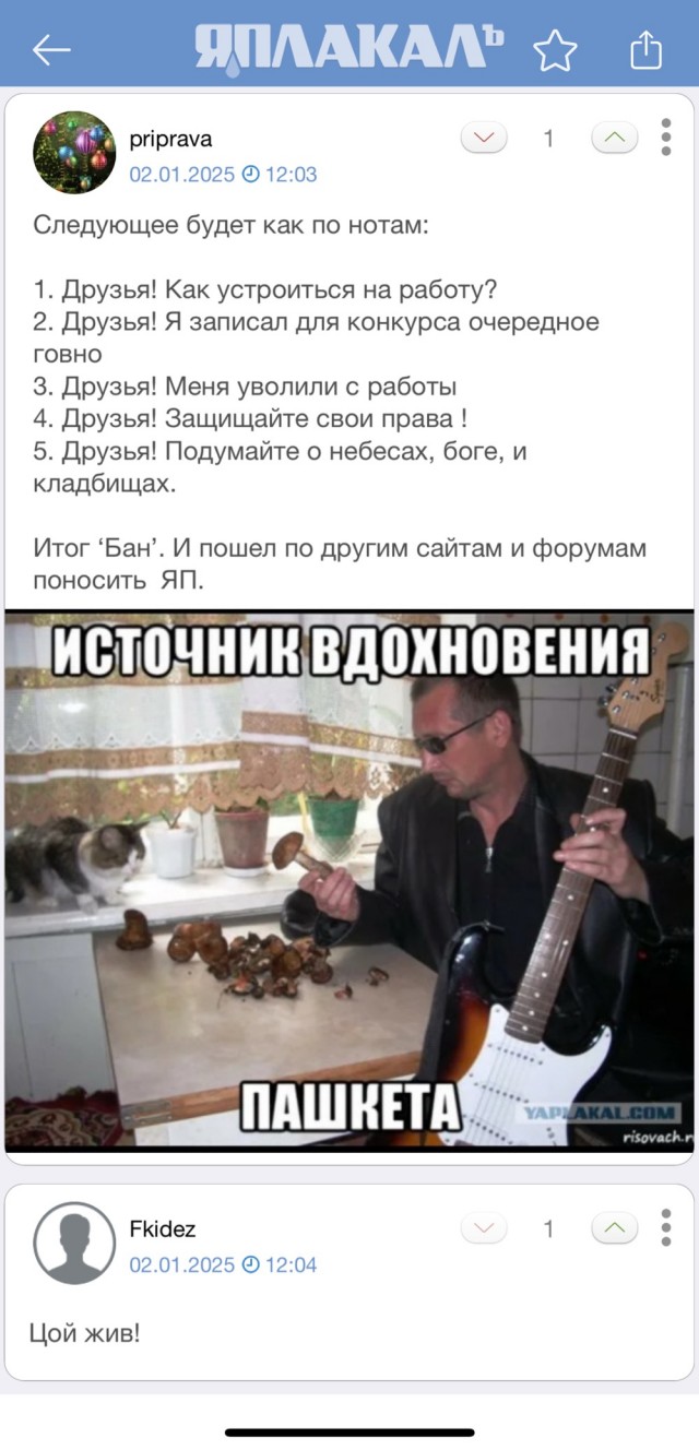 Друзья! Сегодня я был в ударе!