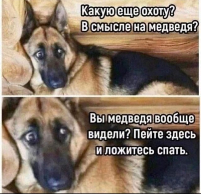 Отборные баяны 10-летней выдержки - CINEMA Edition