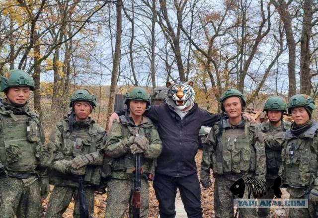 Курская область освобождена!