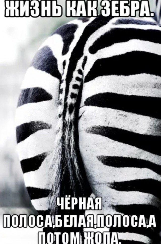 Пять лет назад