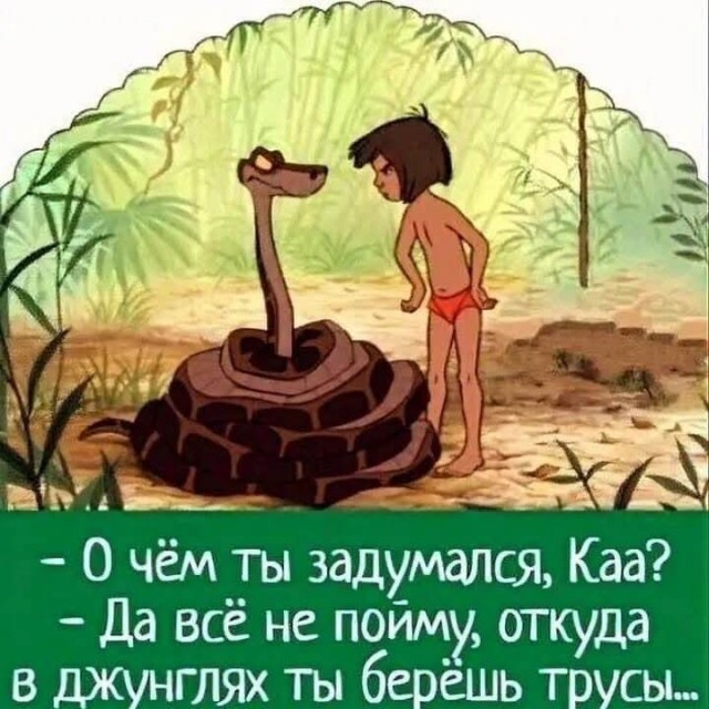 Так себе картинки 12.05.25