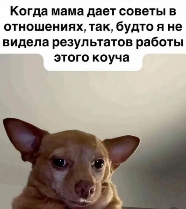 Картинок разных смешных и не очень