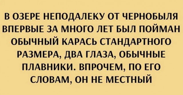 Картинки для деградации 25 (разной степени свежести)