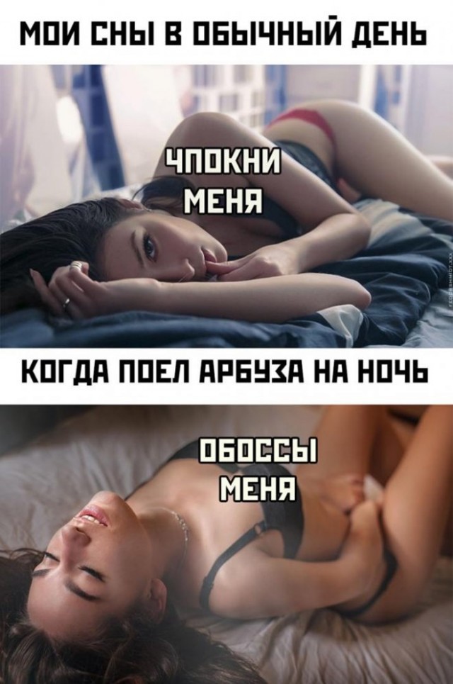Веселые картинки в пятницу (29.08)