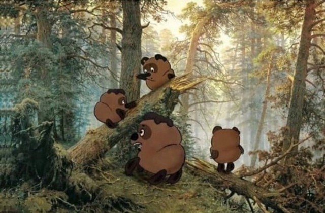 Нужно выбирать зелёную