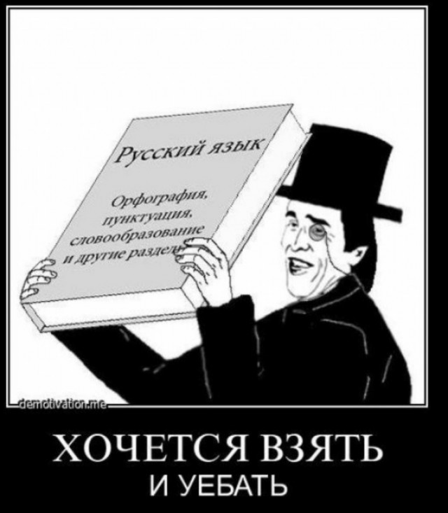 Интересные насекомые