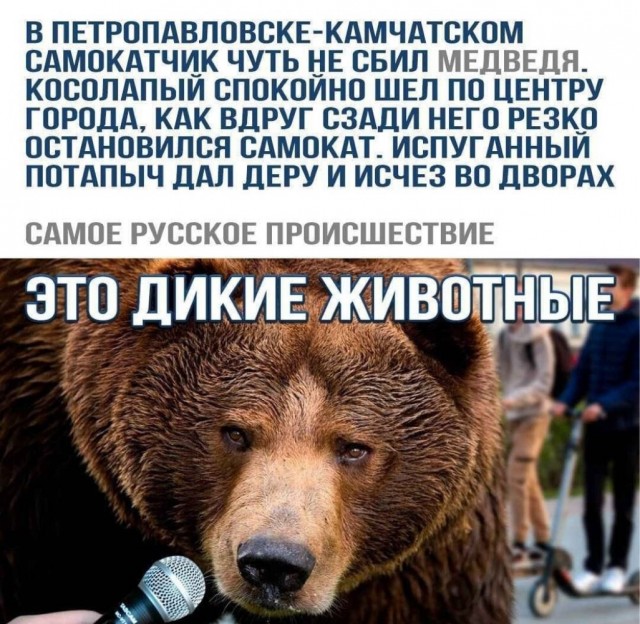 Понедельника картинки