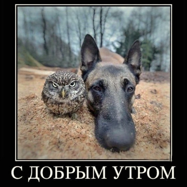 Понедельника картинки