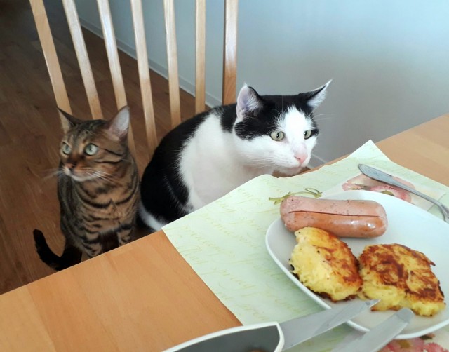 Двуликая Муся