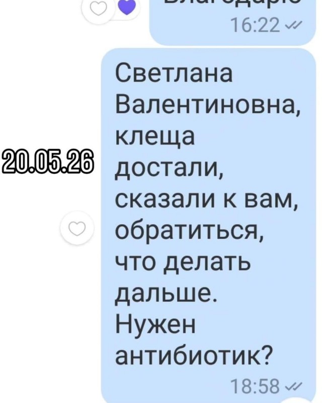 Эзотерики и всякие тарологи без постоянного графика работы почему-то думают что у остальных так же.