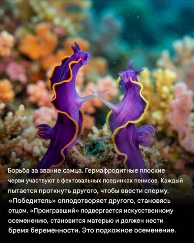 Так себе картинки 04.07.26