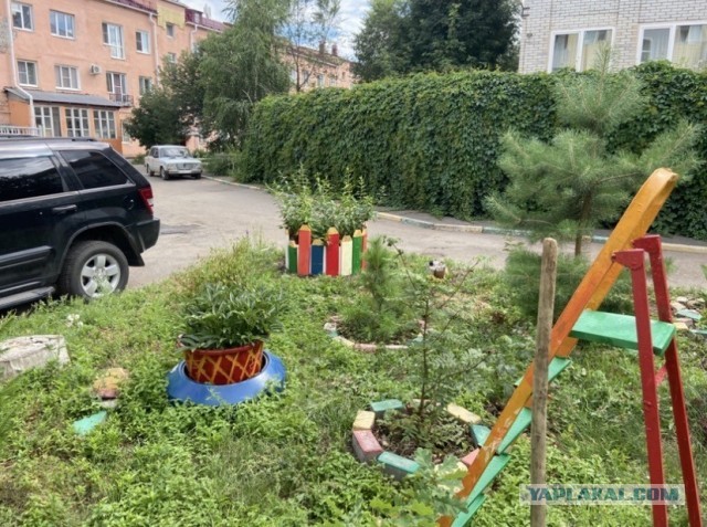 Вышла с котиком погулять