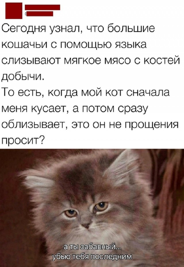 Так себе картинки 18.07.26
