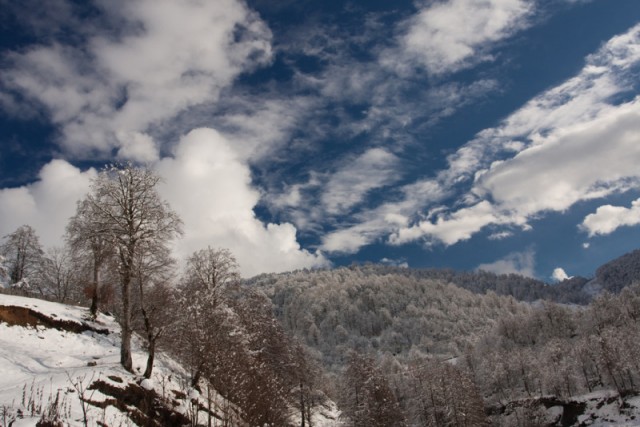 Абхазия, январь 2010
