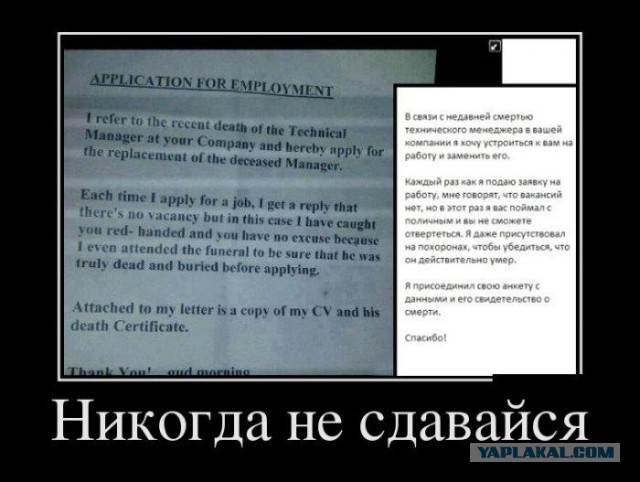 Просто поржать