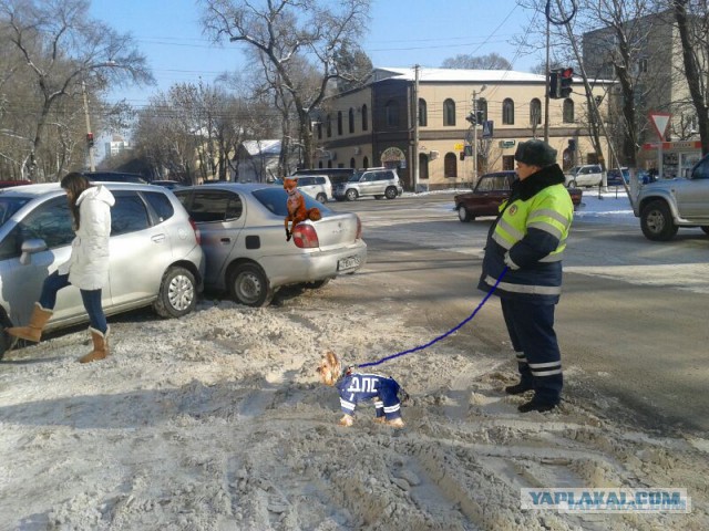 Гаишнику интересно