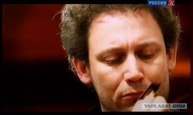 Визуализируем свои ники!