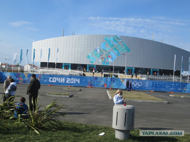 Как я ездил на кёрлинг